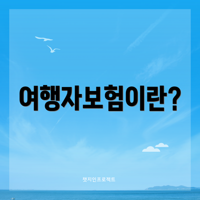 여행자보험이란?