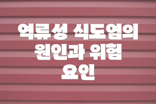 역류성 식도염의 원인과 위험 요인