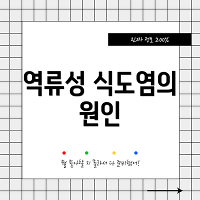 역류성 식도염의 원인