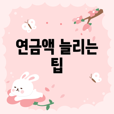 연금액 늘리는 팁