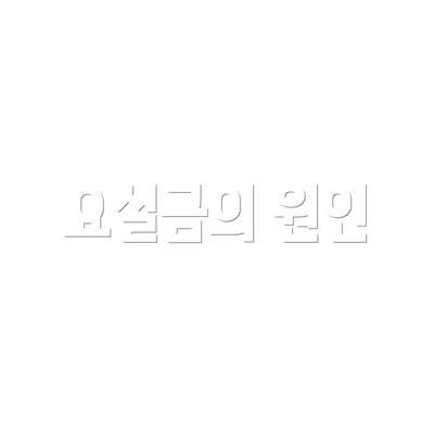 요실금의 원인