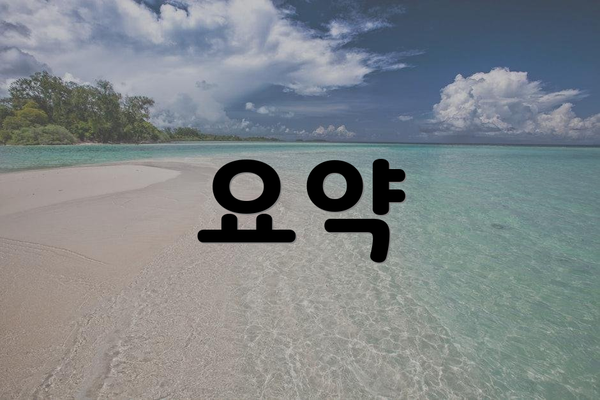 요약