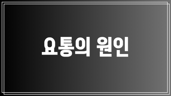 요통의 원인