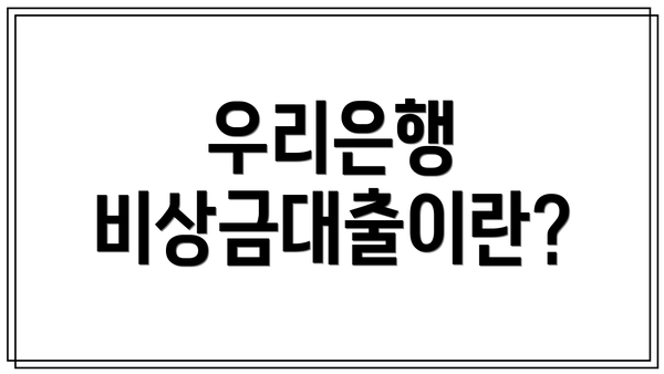 우리은행 비상금대출이란?