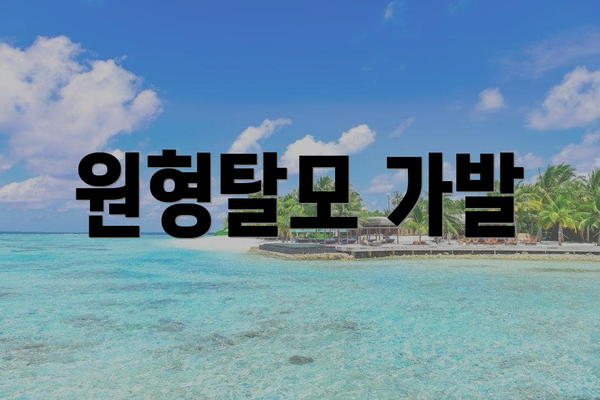 원형탈모 가발