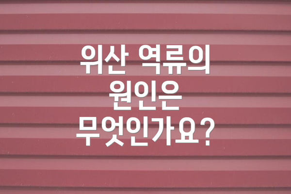 위산 역류의 원인은 무엇인가요?