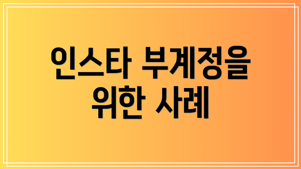 인스타 부계정을 위한 사례
