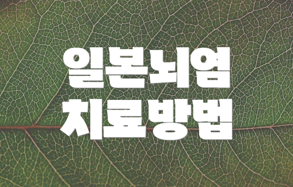 일본뇌염 치료방법