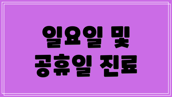 일요일 및 공휴일 진료