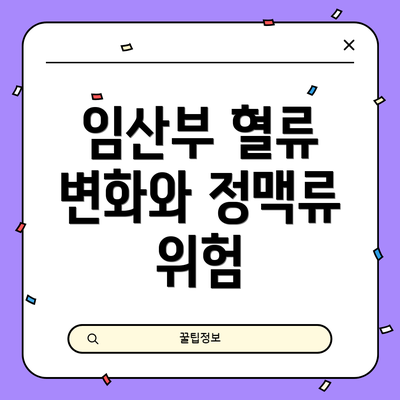 임산부 혈류 변화와 정맥류 위험