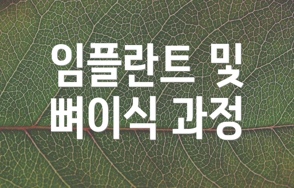 임플란트 및 뼈이식 과정