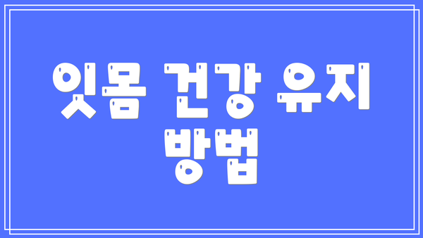잇몸 건강 유지 방법