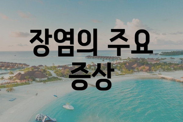 장염의 주요 증상