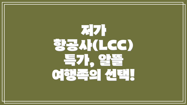 저가 항공사(LCC) 특가, 알뜰 여행족의 선택!