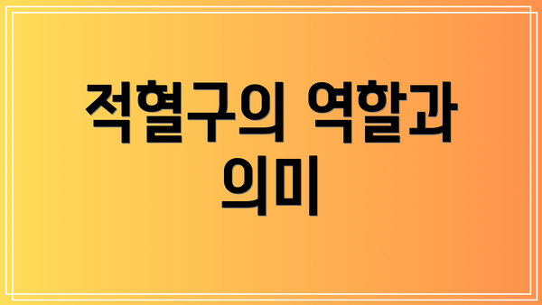적혈구의 역할과 의미