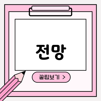 전망