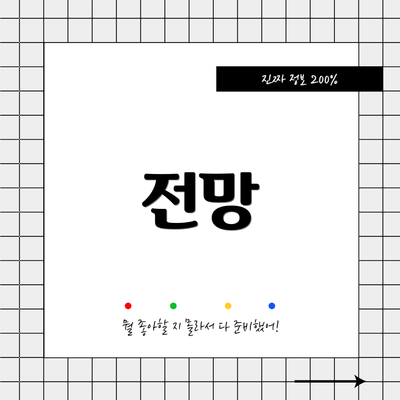 전망
