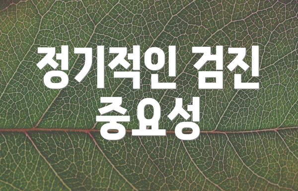 정기적인 검진 중요성