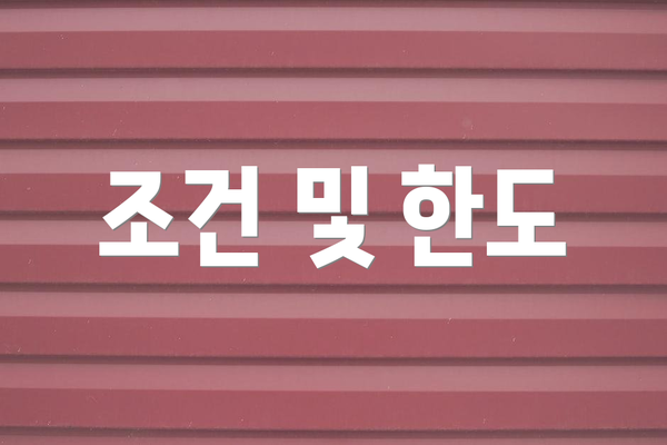 조건 및 한도