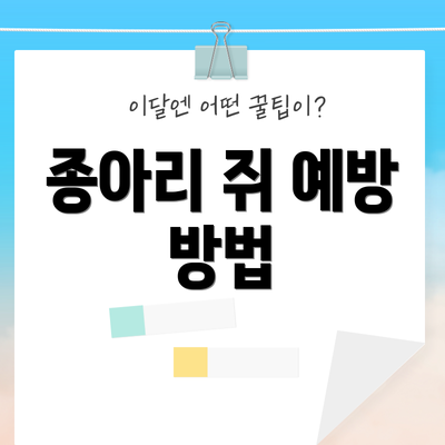 종아리 쥐 예방 방법