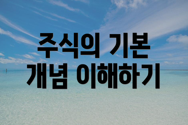 주식의 기본 개념 이해하기