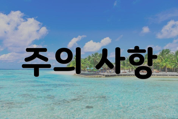주의 사항
