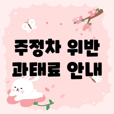 주정차 위반 과태료 안내