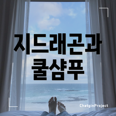 지드래곤과 쿨샴푸