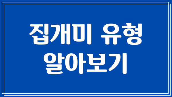 집개미 유형 알아보기
