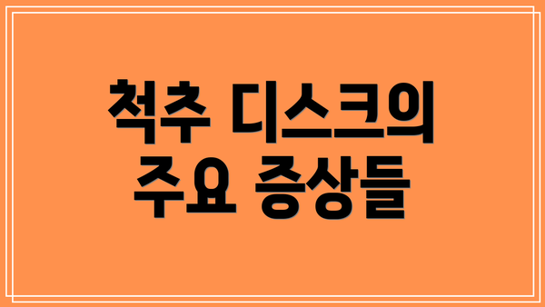 척추 디스크의 주요 증상들