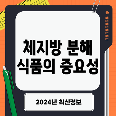체지방 분해 식품의 중요성