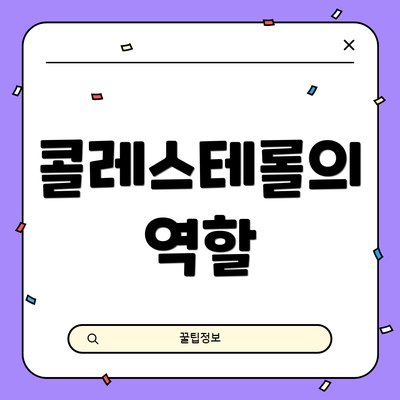 콜레스테롤의 역할