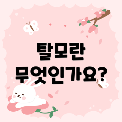 탈모란 무엇인가요?