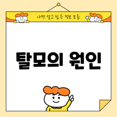 탈모의 원인