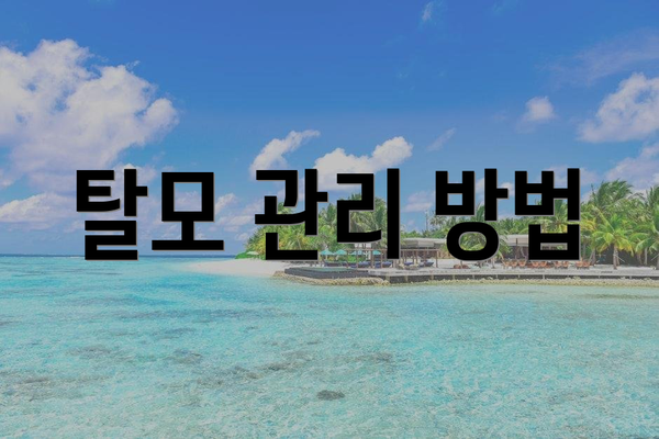 탈모 관리 방법