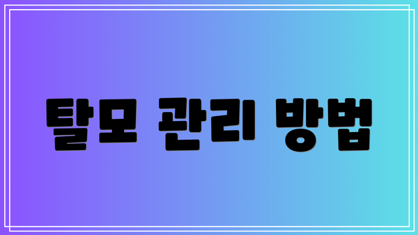 탈모 관리 방법