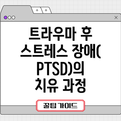 트라우마 후 스트레스 장애(PTSD)의 치유 과정