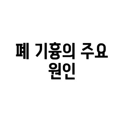 폐 기흉의 주요 원인