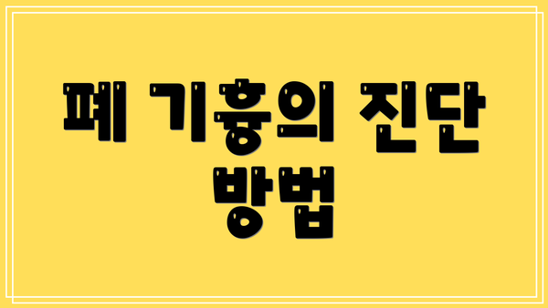 폐 기흉의 진단 방법