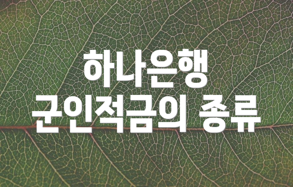 하나은행 군인적금의 종류