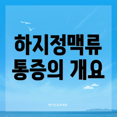 하지정맥류 통증의 개요