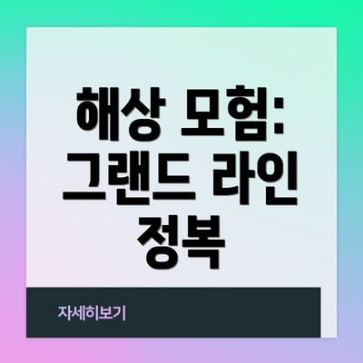 해상 모험: 그랜드 라인 정복