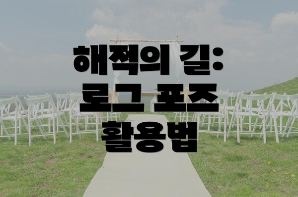 해적의 길: 로그 포즈 활용법