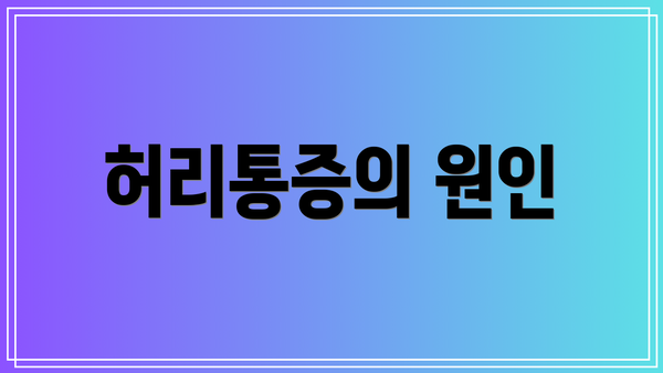 허리통증의 원인