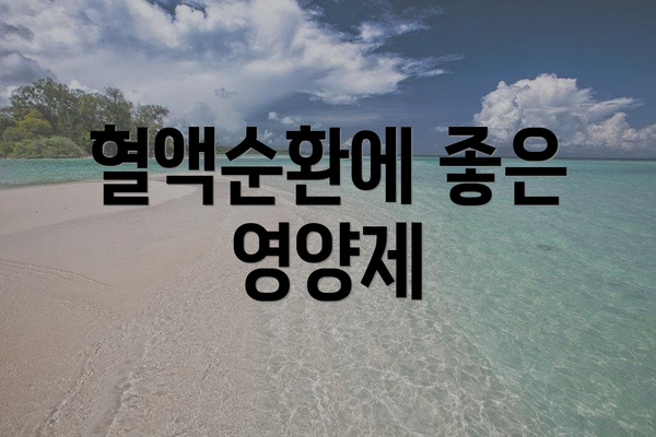 혈액순환에 좋은 영양제