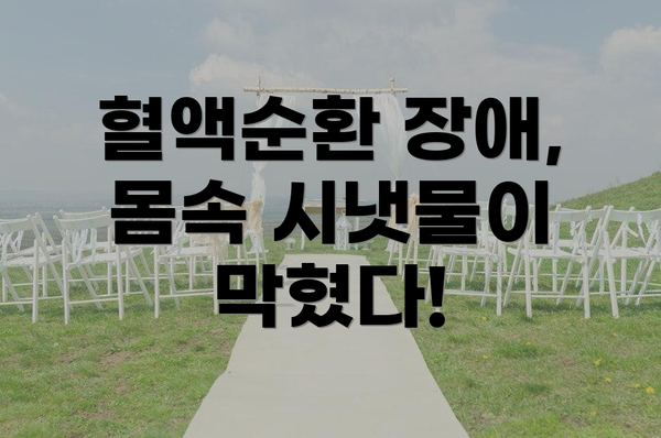 혈액순환 장애, 몸속 시냇물이 막혔다!
