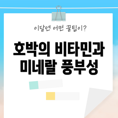 호박의 비타민과 미네랄 풍부성