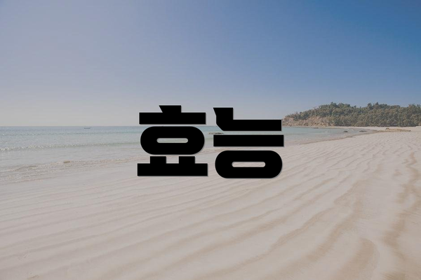 효능