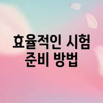 효율적인 시험 준비 방법