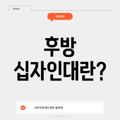 후방 십자인대란?